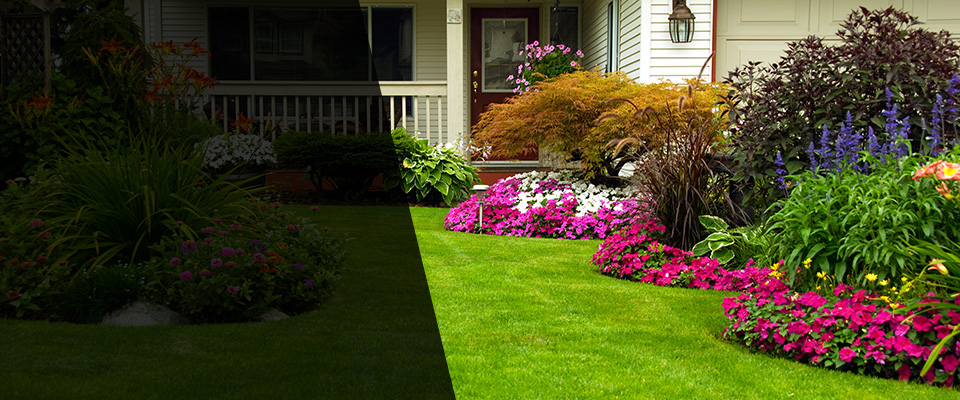 Hamilton Landscapers